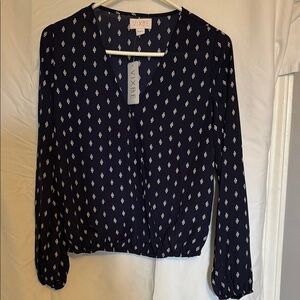 Blue Long Sleeve Buttoned Blouse with Mandarin Collar
